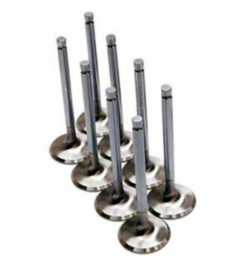 Inlet valves stainless...