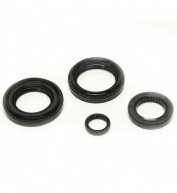 Gearbox seal set Synchrotech