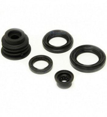 Gearbox seal set Synchrotech